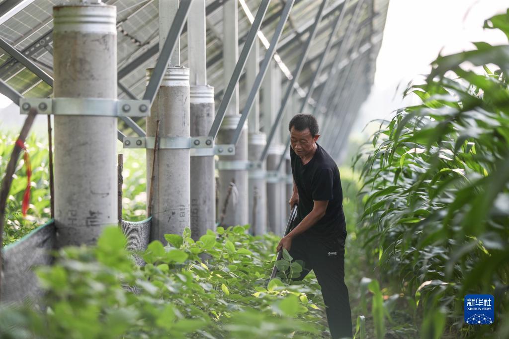 启航娱乐平台注册网址